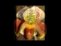 Венерин башмачок слайд-шоу ч.2 Paphiopedilum