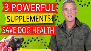 Best Natural Supplements for Dogs (3 Powerful Antioxidants SAVE Our Dogs Health)