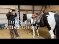 Best way to Saddle your horse