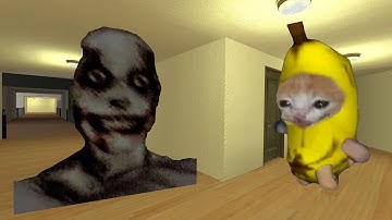 Extinction And Banana Cat Nextbot Gmod