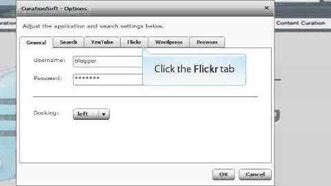 CurationSoft.com - Flickr Settings and Options V2