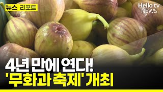 무화과 작황 부진…4년 만에 무화과 축제 #헬로tv뉴스