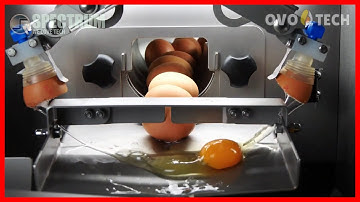 Modern Food Processing Technology with Cool Automatic Machines That Are At Another Level ▶2