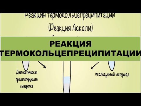 Реакция  термокольцепреципитации (реакция Асколи)