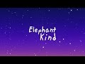 Elephant Kind - Beat The Ordinary (Official Lyric Video)