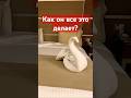 Интересное в путешествиях! Xanadu Makadi Bay #красота #осибори
