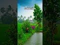 Morning Ai❤ #rain #relax #youtubeshorts #nature #youtube #viral #trending #foryou #naturemusic