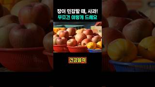 장이 민감할 때, 사과! 무조건 이렇게 드세요! #장트러블 #장건강 #과민성대장증후군  #건강 #건강정보 #건강식사
