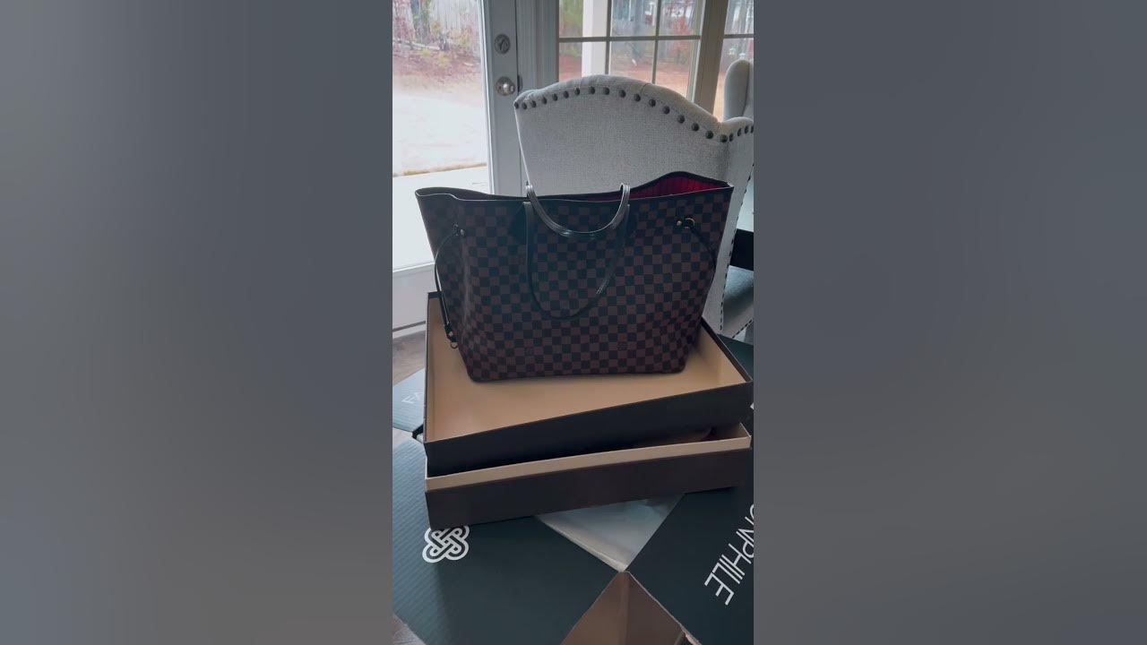 Louis Vuitton Neverfull GM Damier Ebene  ReviewPros/Cons/Hacks/Alternatives/Mod Shots 