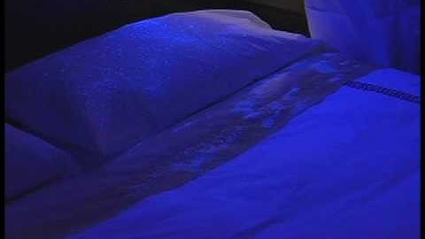 Sheet Sequence large.avi