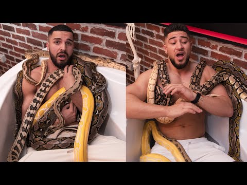 Video: Boli Fungice La Reptile și șerpi