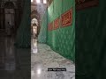 Ya Rasool Allah s.a.w #madina #rozarasool #yarasoolallah #yarasoolallahﷺ #yamuhammed #droodsharif