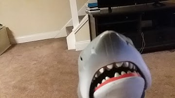 Jaws 3 finding nemo deleted sence 3