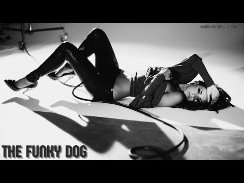 The Funky Dog Mixed by Bell Mesk | Funky House Mix | Recorded 15 years ago