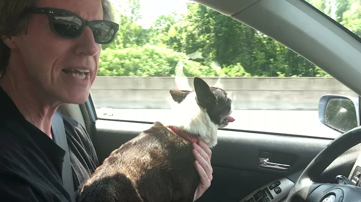 Driver's Seat video