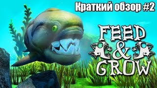 Feed and Grow , Краткий обзор #2
