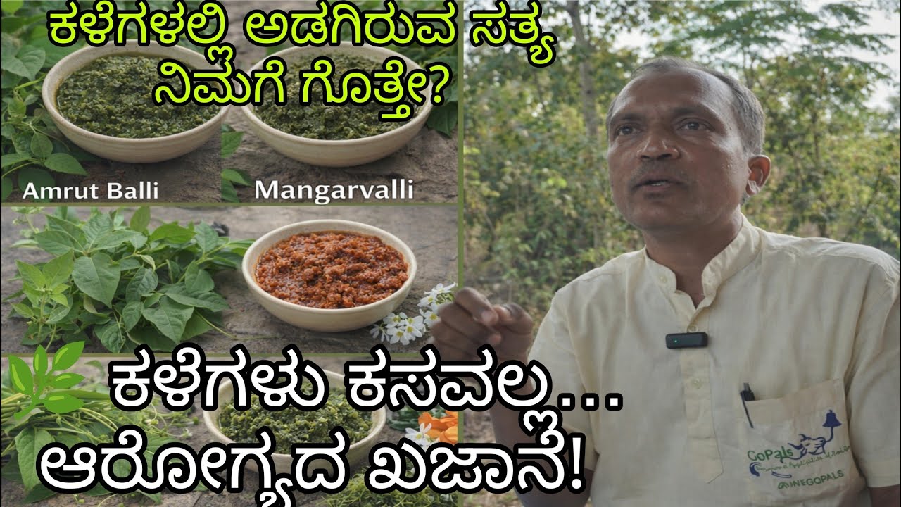 ಕಳೆಗಳನ್ನು ಆಹಾರವಾಗಿ ಬಳಸಬಹುದು? ನಿಜ ಗೊತ್ತಾ! - ಶ್ರೀ ಮಲ್ಲಿನಾಥ ಹೇಮಾಡಿ