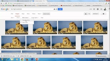 Advanced Reverse Image Search Tutorial