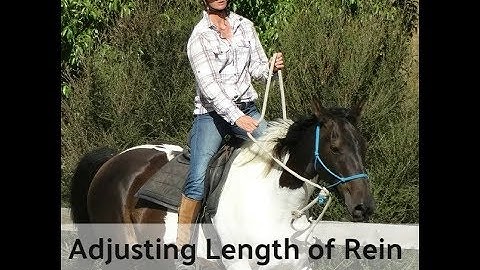 Training With Feel: Adjusting The Length Of Rein