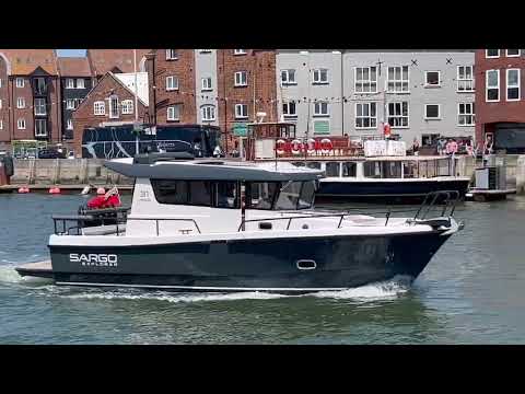 Sargo: 31 Viper