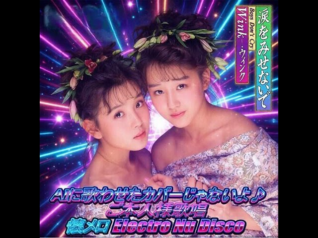 Wink Visual Memories 1988-1996 〜30th Limited Edition〜【Official
