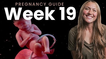 19 Weeks Pregnant | Week By Week Pregnancy