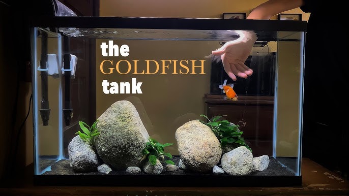 Top 10 Amazing Goldfish Tank  Beautiful Goldfish Aquariums 2021