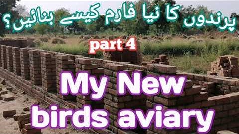 How to make a new birds aviary, part 4