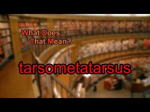 فيديو: ماذا يعني tibiotarsus؟