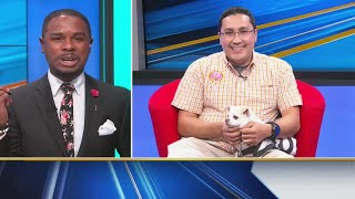 Mutt Mondays - How To Dress Up Your Pet Safely For Halloween