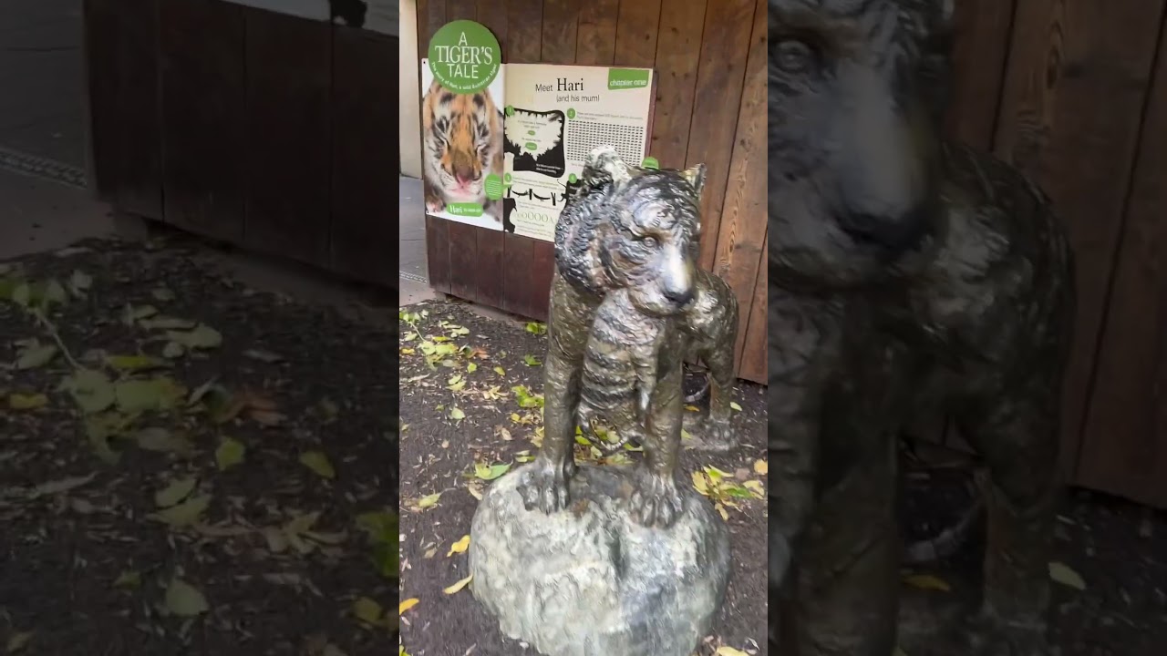 Tiger statue!! Tigerstatue