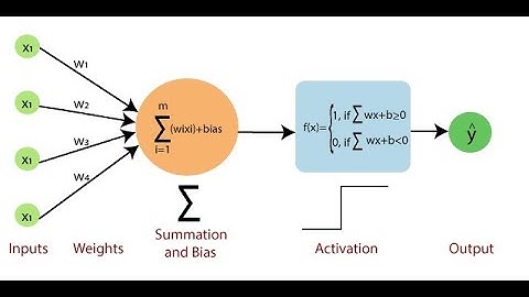 Proyecto IA2-Perceptron-Clasificador de Mascotas
