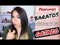 🤑 5 perfumes BARATOS que huelen a LUJO 🎩