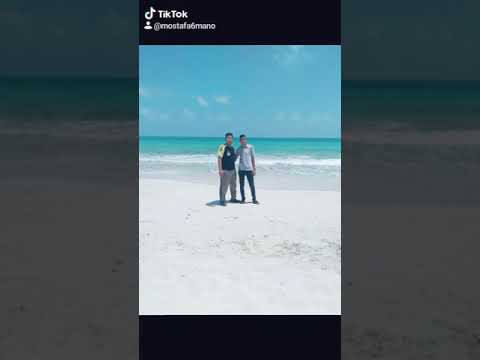 في عشق بستنانا