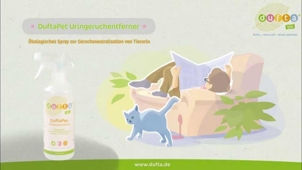 Под мышками пахнет кошачьей мочой причины