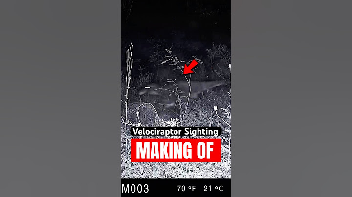 Velociraptor Sighting | VHS Analog Horror | Making Of #dinosaur #jurassicpark #wildlife