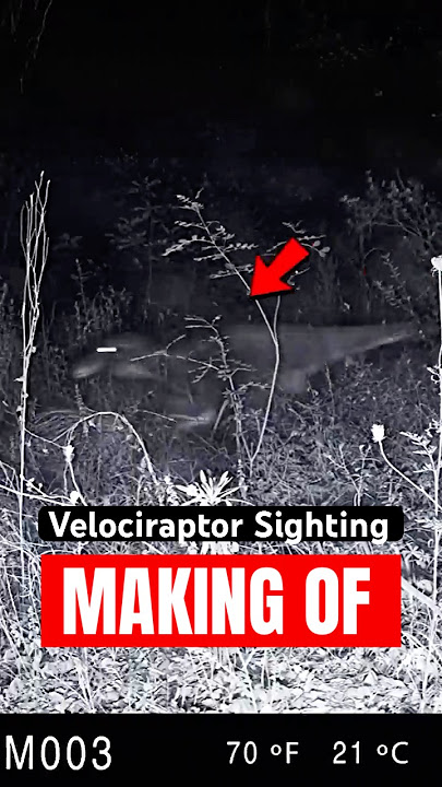 Velociraptor Sighting | VHS Analog Horror | Making Of #dinosaur #jurassicpark #wildlife