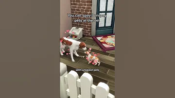 Jaký balíček Sims 4 má psy?