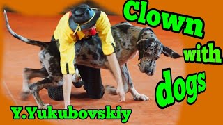 Клоун с собаками .Комическая дрессура .Ю.Якубовский /Comic dogs training .Y.Yakubovskiy . 2014 г