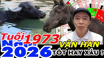 Xem Vận Hạn Tuổi Quý Sửu 1973 năm 2026 RA SAO ?  Phong Thủy 100 Năm