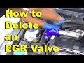 How to Delete an EGR Valve with a delete kit