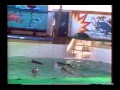 Lolita The Killer Whale: Slave to Entertainment - full movie