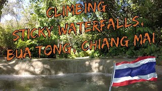 Climbing Bua Tong Sticky Waterfalls In Chiang Mai, Thailand