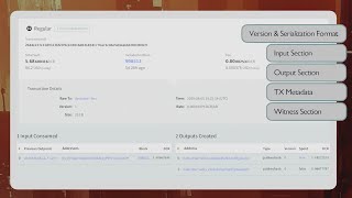 From Fields to Finality: Decred's Transaction Serialisation Architecture
