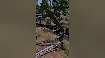 FS25 - Realistic Log loading