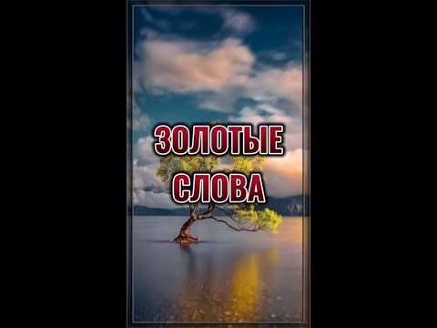 Золотые слова. 💯 Слова со смыслом. 💯 Мудрые слова. 💯 Правда. #shorts