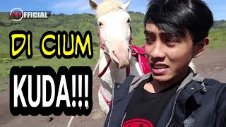 DI CIUM KUDA DI GUNUNG BROMO!!😱