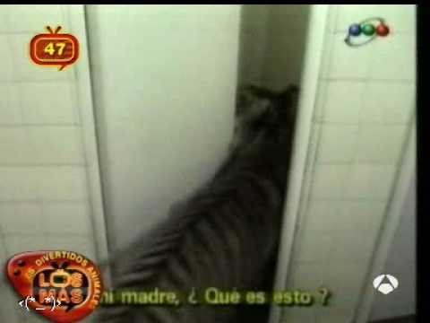 D9 82 D9 81 D9 84 20 D8 AD D9 85 D8 A7 D8 A7 D8 A7 D8 A7 D9 85 D9 83 2 Wmv