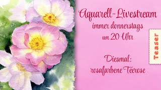 TEASER - realistische Blumen malen in Aquarell - HEUTE: rosafarbene Teerose