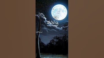 سورة الحشر "القارئ شريف مصطفى "تلاوة تفيض جمالاً ارح سمعك حالات لبرنامج التواصل الاجتماعي 😴😴🎧